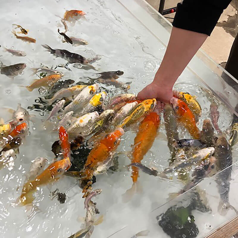 いきものふれあい学校 | ショップ | アルパーク